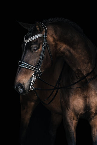 Johnny Double Silver Bridle - Mrs. Ros