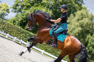 Riding Breeches - Deep Lake