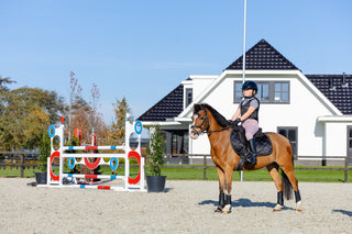 Mini Ros Riding Breeches - Blush Noir