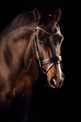 Deluxe Bridle Knight Power SINGLE TRENS *NEW*