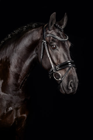 A glittery, premium Italian leather bridle with an engraved Mrs. Ros logo on the headpiece.