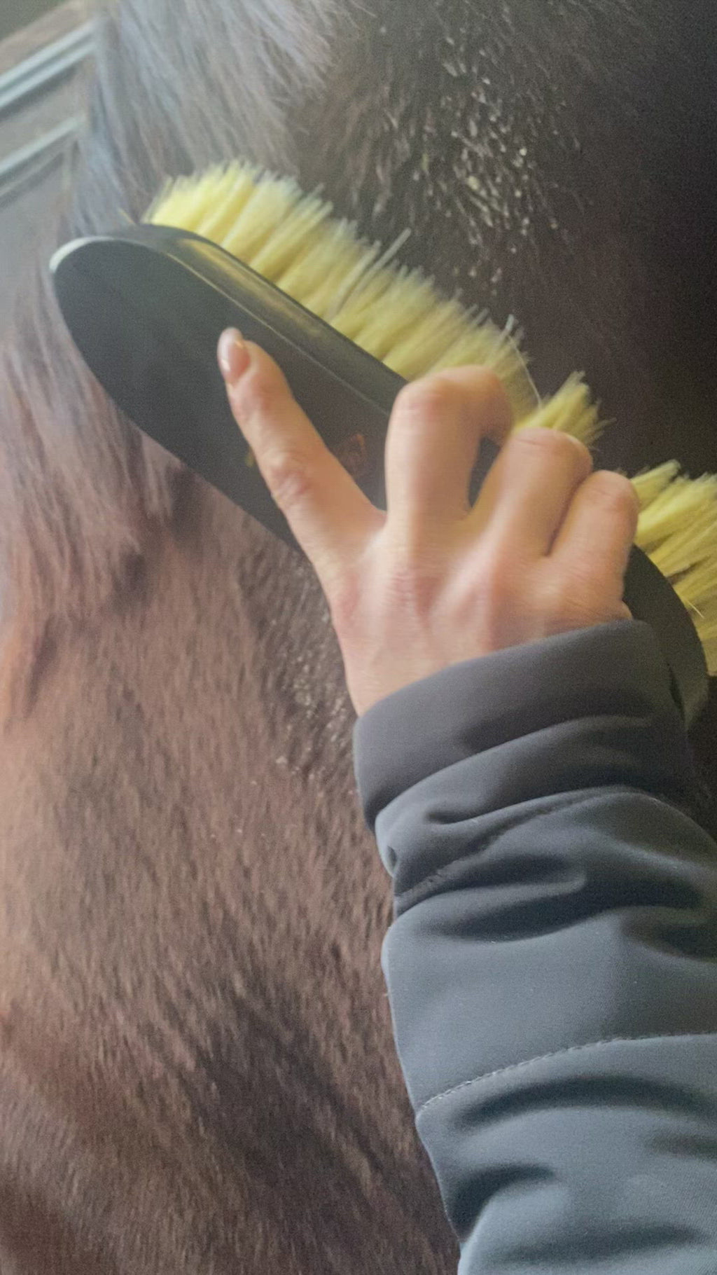 horse grooming brush with no strap