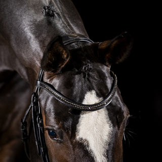 black leather bridle with crystal browband