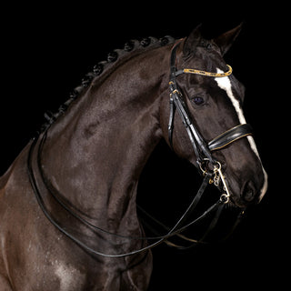 Bridle Imperial Gold - Mrs. Ros