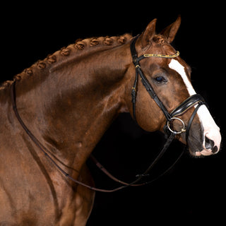 Bridle Imperial Gold - Mrs. Ros