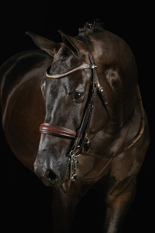 Deluxe Double Bridle Knight Power - Mrs. Ros
