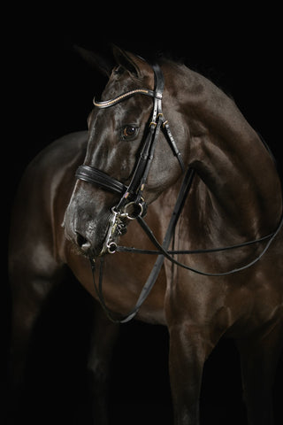 Deluxe Double Bridle Knight Power - Mrs. Ros