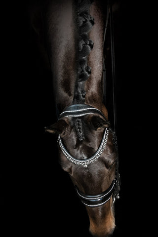 Johnny Double Silver Bridle - Mrs. Ros